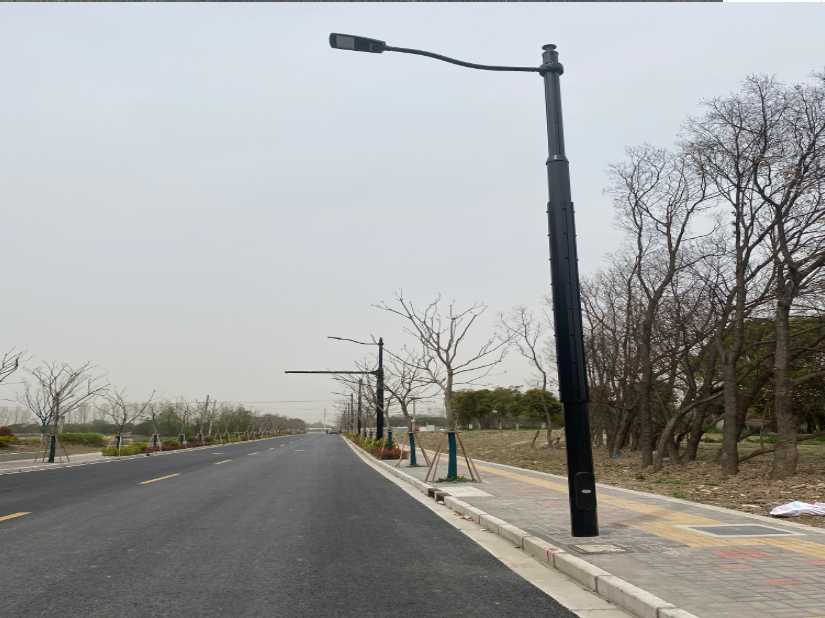桑珠孜区上海综合杆 太阳能路灯工程